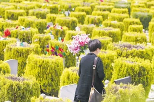 昆明四大公墓现到期潮暂未追加收费 昆明公墓