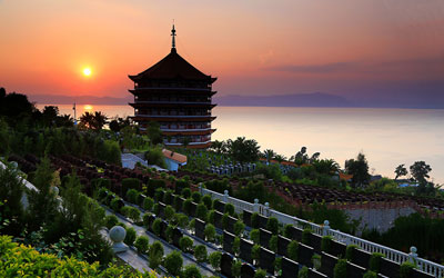 “人活着为房子、死了为盒子”