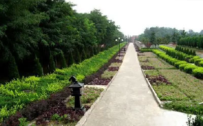 城市陵园生态化改革及应遵循的原则