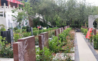 公墓陵园的发展前景如何