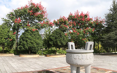 昆明青龙园龙凤呈祥实景拍摄