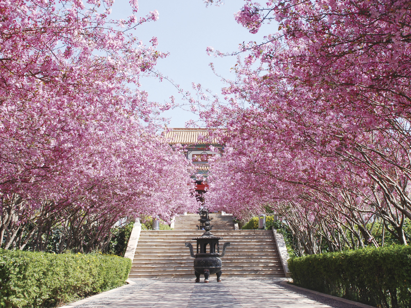 昆明金陵公墓金陵大道 昆明金陵公墓金陵大道