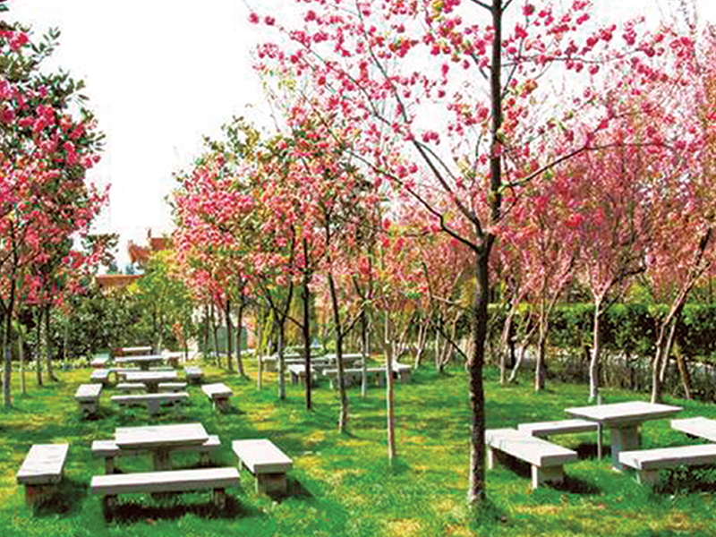 昆明金陵公墓休息园 昆明金陵公墓休息园