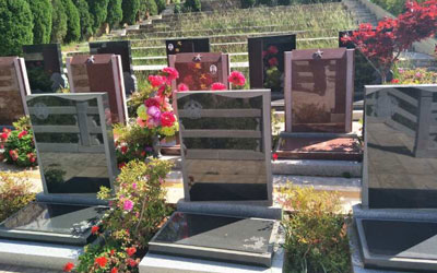 一块好的墓地对子孙后代有什么好处