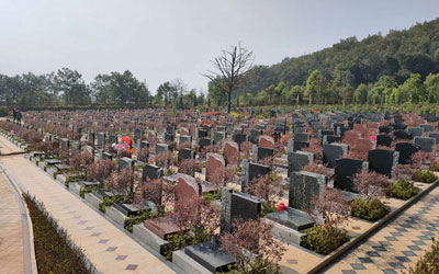 公墓墓地位置怎么选？公墓信息网给您几点建议