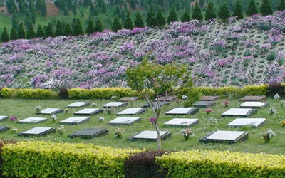 提前购买墓地有哪些好处？