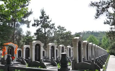 买墓地有哪些流程