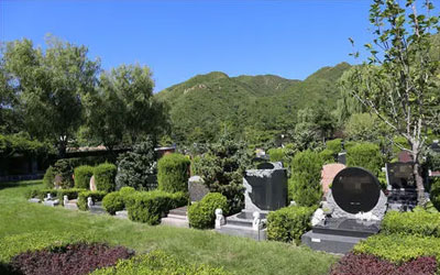 教您墓地选墓穴排号