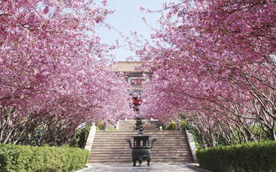 选择昆明金陵公墓要考虑哪些问题?具体墓地位置要怎么选?