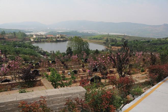 墓地排号怎么选?昆明青龙园公墓选哪排风水好?