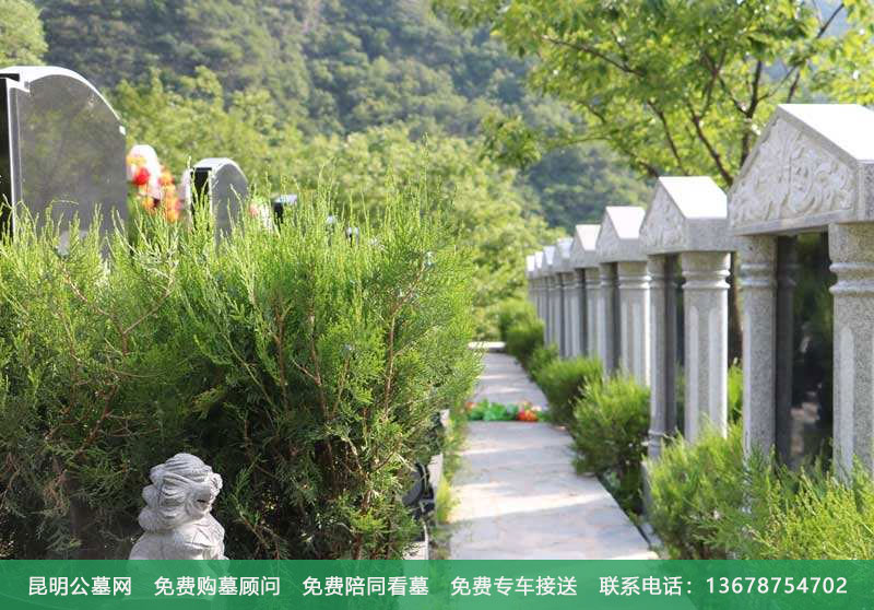 公墓信息网分析为什么选择公墓要远离树根