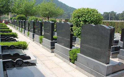 公墓信息网介绍墓地排号选单号好还是双号好