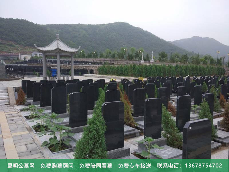 去哪买墓地靠谱