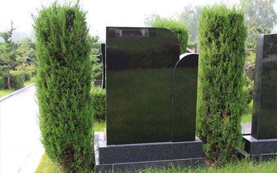 选墓有哪些禁忌,从墓地风水禁忌可知哪些墓地不能选