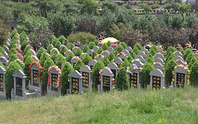 墓地风水如何看?怎样才算风水好的墓地