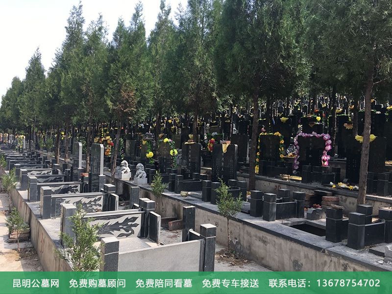 穴位置怎么确定g 穴位置怎么确定