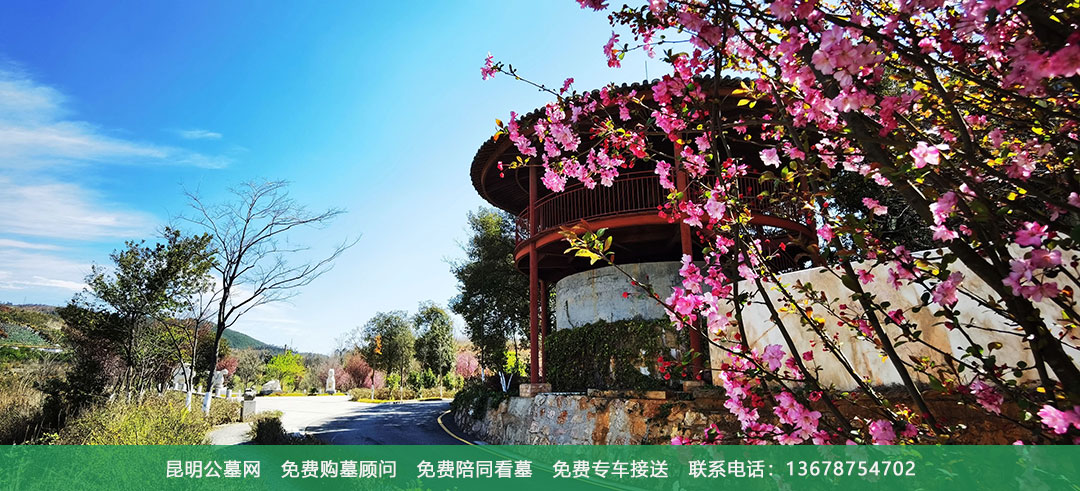 昆明青龙园公墓环境展示