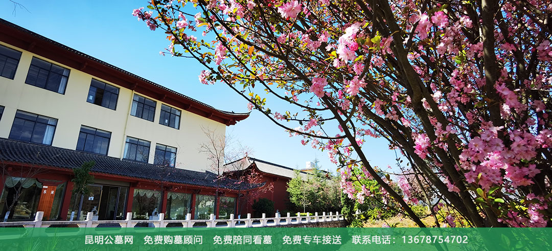 昆明青龙园公墓环境展示