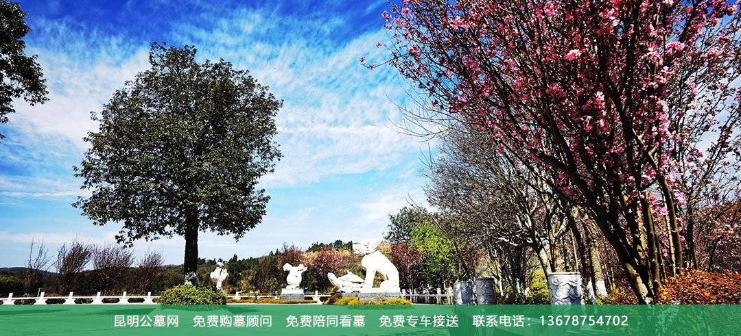 昆明青龙园公墓环境展示