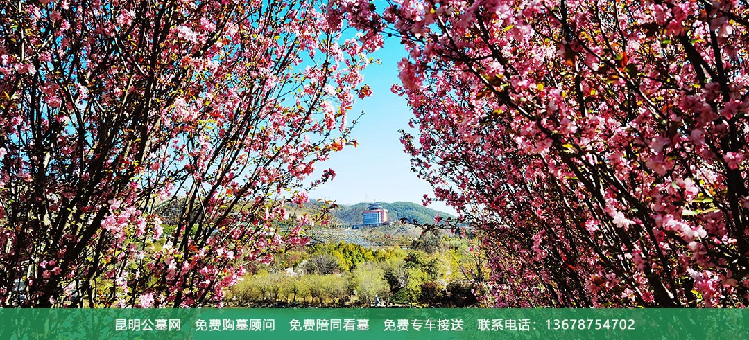 昆明青龙园公墓环境展示