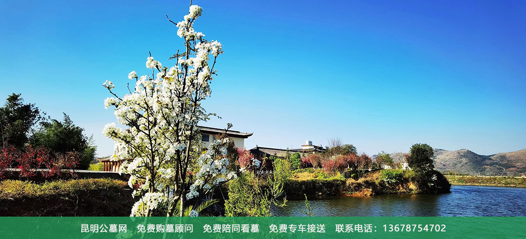 昆明青龙园公墓环境风景美图