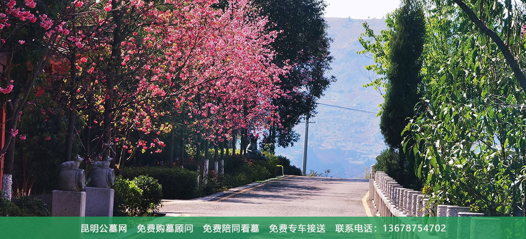 昆明青龙园公墓环境风景美图