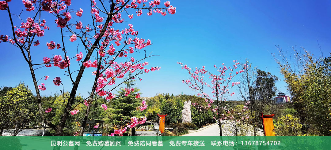 昆明青龙园公墓环境风景美图