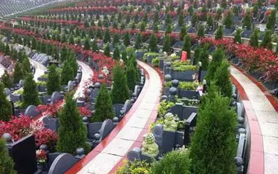 我在墓地做生意，跟死有关的东西都暴利