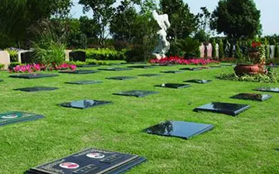 生态葬响应者寥寥并不是钱的问题