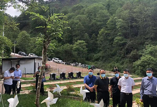 云南省民政厅林辉副厅长到兰坪县考察调研殡葬改革 云南省民政厅林辉副厅长到兰坪县考察调研殡葬改革