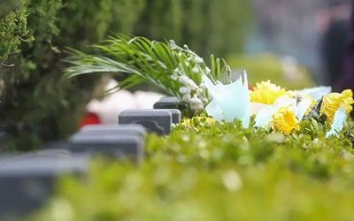 秩序井然、文明环保……三亚解锁祭扫新方式