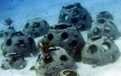 将骨灰制成珊瑚，近75万个骨灰球沉入海底，正在改变生态环境