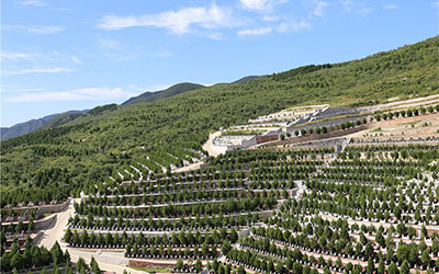 经营性墓地为何价格居高不下持续上涨