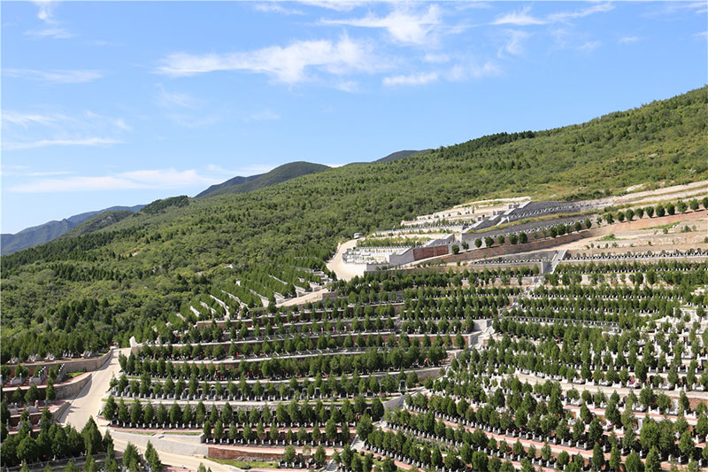 经营性墓地为何价格居高不下持续上涨