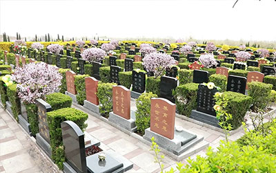 关于党员干部带头推动殡葬改革的意见