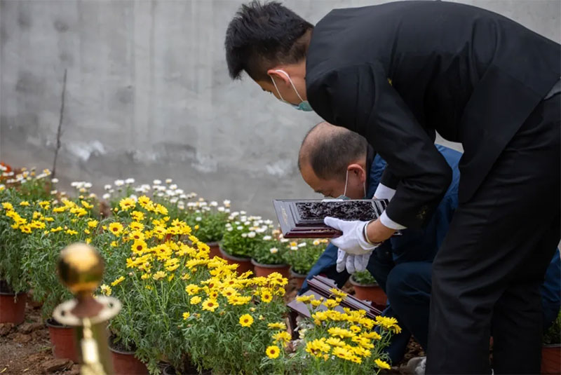 生态安葬要成主流 还需迈过几道关