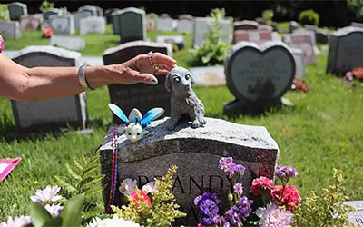 从宠物医保到宠物殡葬，年轻人用孤独“投喂”出这个千亿市场