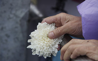 “三下功夫”全力推进新时代厚养薄葬