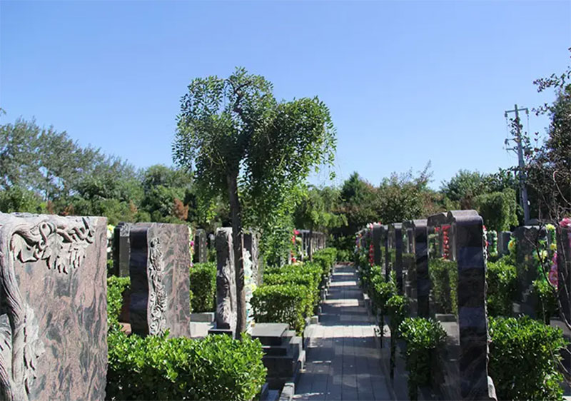 民政部办公厅关于做好2022年清明节祭扫工作的通知 民政部办公厅关于做好2022年清明节祭扫工作的通知