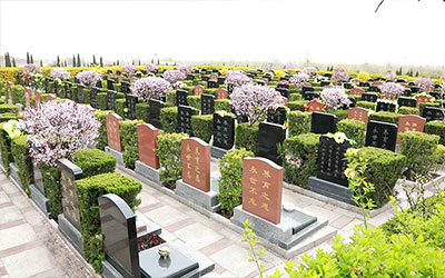 民政部：适时提请党中央国务院建立全国殡葬工作联席会议制度