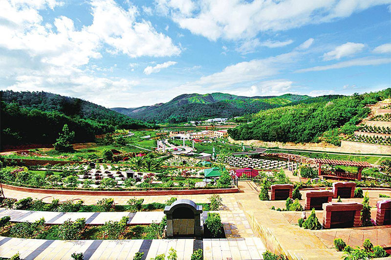 殡葬改革43问,读懂殡葬改革政策规定 殡葬改革43问,读懂殡葬改革政策规定