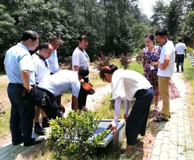 殡葬改革:土地、木材和金钱浪费及其讨论 殡葬改革:土地、木材和金钱浪费及其讨论