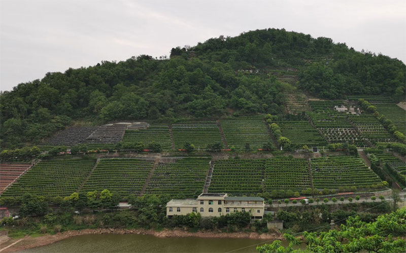 墓地破土开坟的注意事项