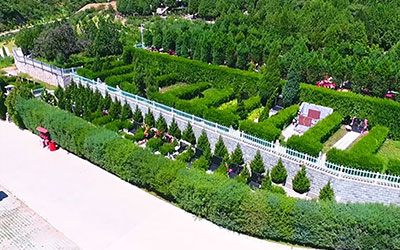 昆明树葬墓地，节省土地资源，让逝者回归自然