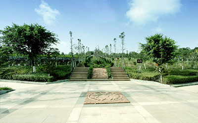 我国殡葬改革与管理的若干问题