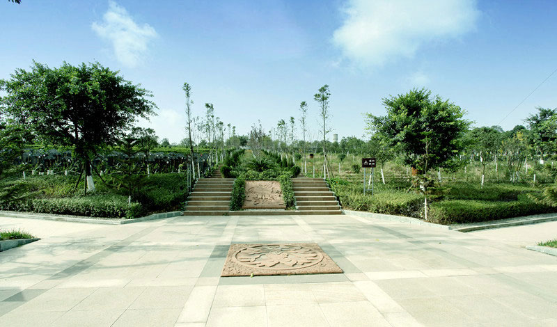 我国殡葬改革与管理的若干问题 我国殡葬改革与管理的若干问题