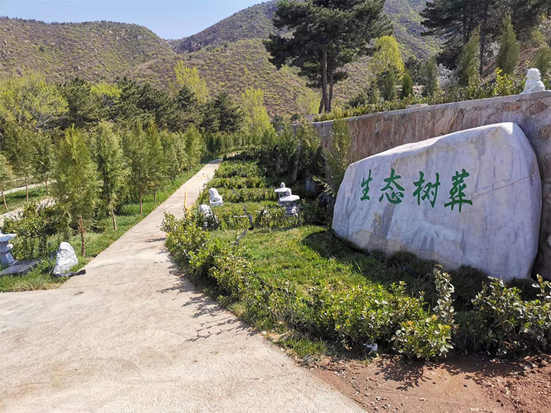 树葬的发展趋势，昆明树葬怎么样？