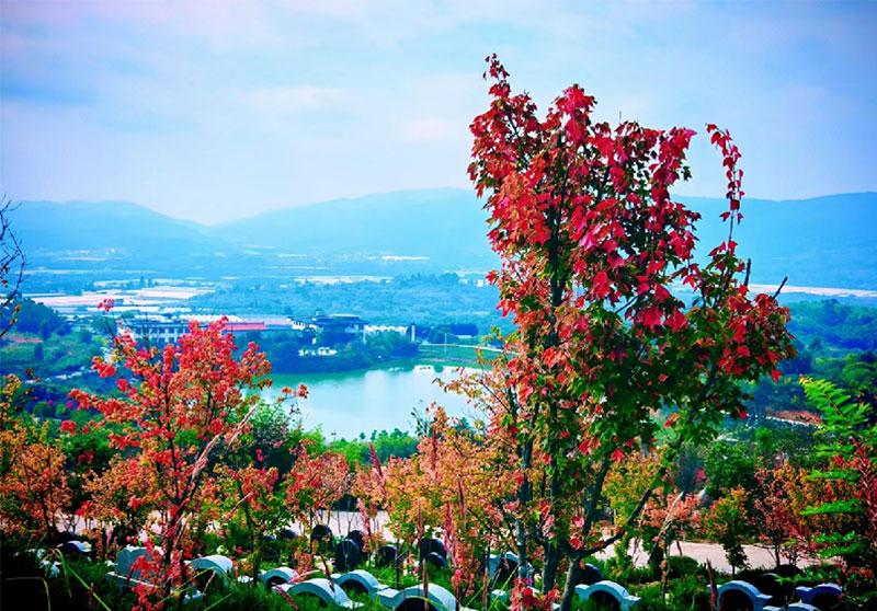 2024年清明节昆明墓地会涨价吗?清明节期间适合购墓吗? 2024年清明节昆明墓地会涨价吗?清明节期间适合购墓吗?