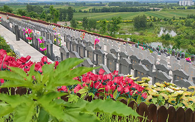 墓园绿色殡葬，真正的入土为安