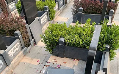 殡葬和公墓管理政策